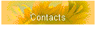 Contacts